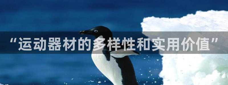 xk星空体育官方正版app娱乐平台：“运动器材的多样