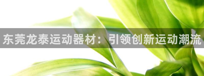 xk星空体育官方正版app开户：东莞龙泰运动器材：引领创新运