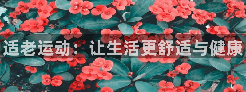 xk星空体育官网下载平台注册要钱吗：适老运动：让生活更舒适与