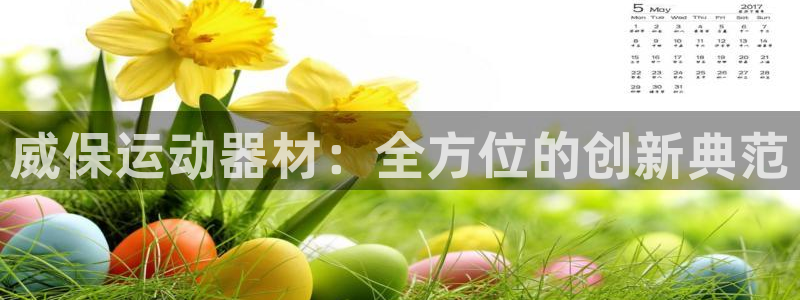 xk星空体育官方正版app集团E.ON：威保运动器材：全方位