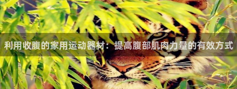xk星空体育官方正版app集团官网首页：利用收腹的家