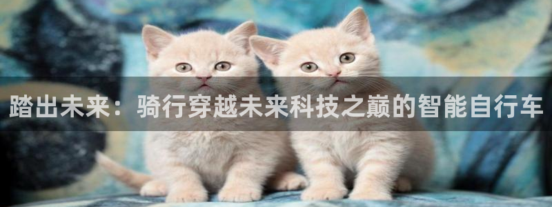 xk星空体育官网下载开户：踏出未来：骑行穿越未来科技