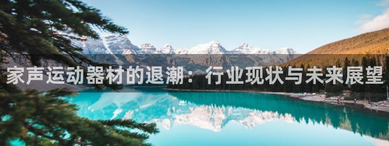 xk星空体育官方正版app集团简介：家声运动器材的退潮：行业