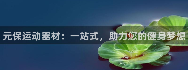 xk星空体育官方正版app神州